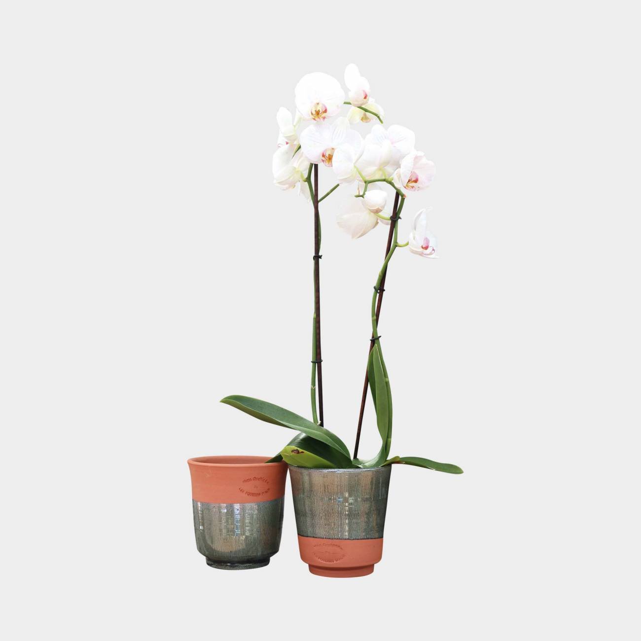 Pot droit coloré pour Orchidées Terracotta - Les Poteries d'Albi